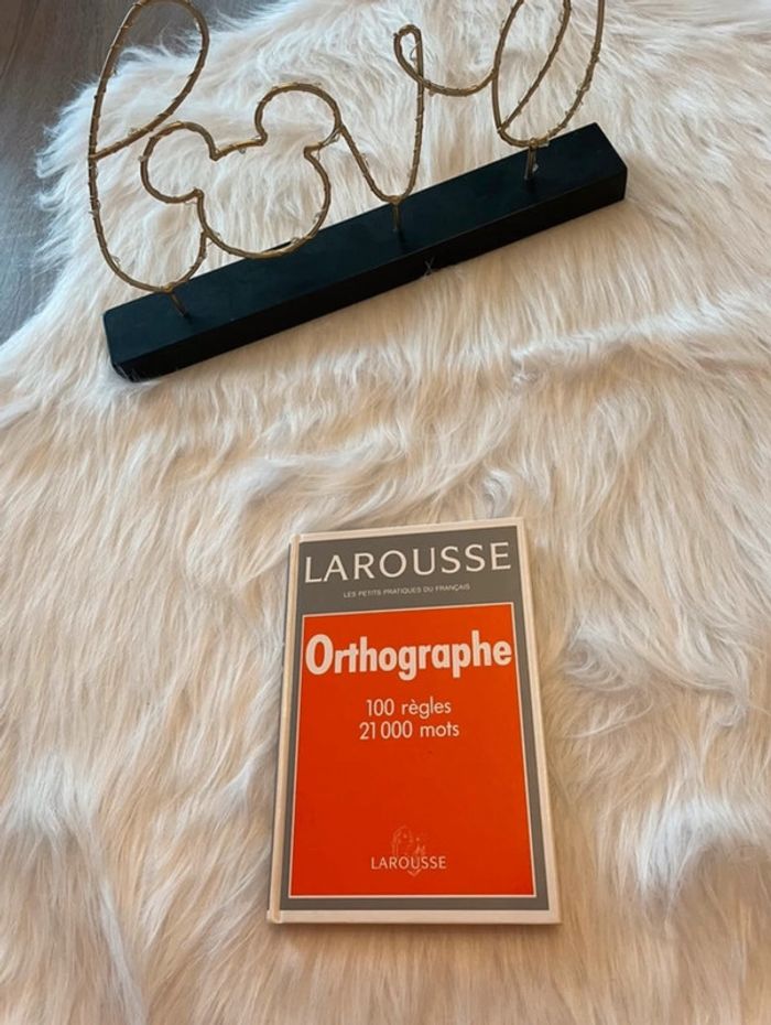 Très beau livre sur l’orthographe 🥰 de chez Larousse neuf