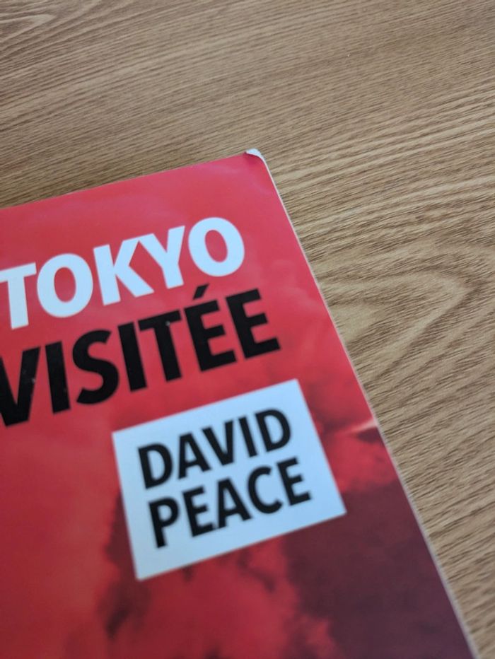Grand format - Tokyo Revisitée - photo numéro 4