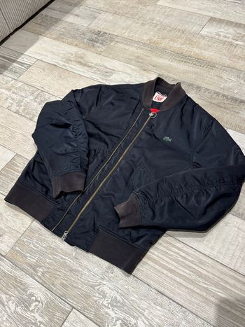 Bombers Lacoste authentique
