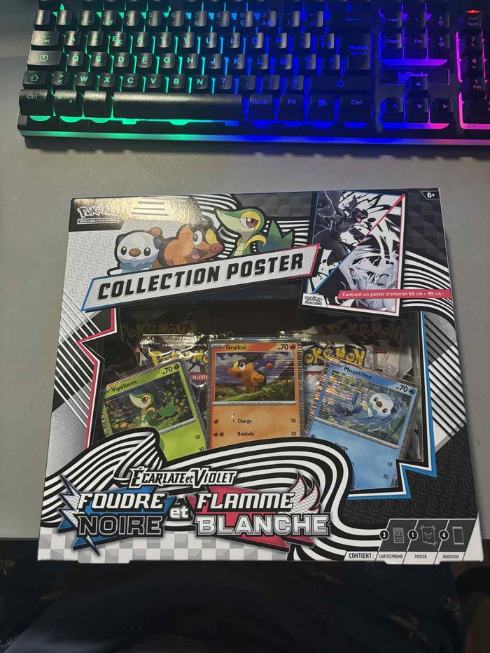 Foudre Noire & Flamme Blanche: Poster Collection - photo numéro 1