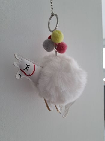 Porte clé