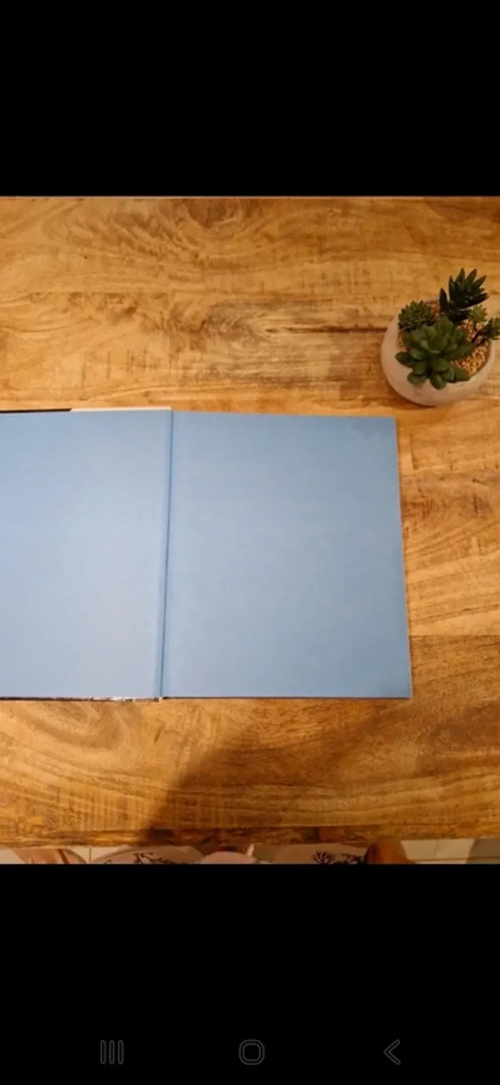 Livre "Mon frère, l’artiste"  Grégory Lemarchal - photo numéro 2