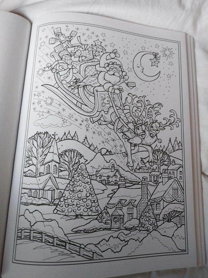 Livre à colorier enchantée christmas de Teresa goodridge - photo numéro 6