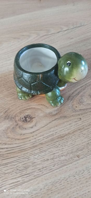 Pot de fleurs Tortue