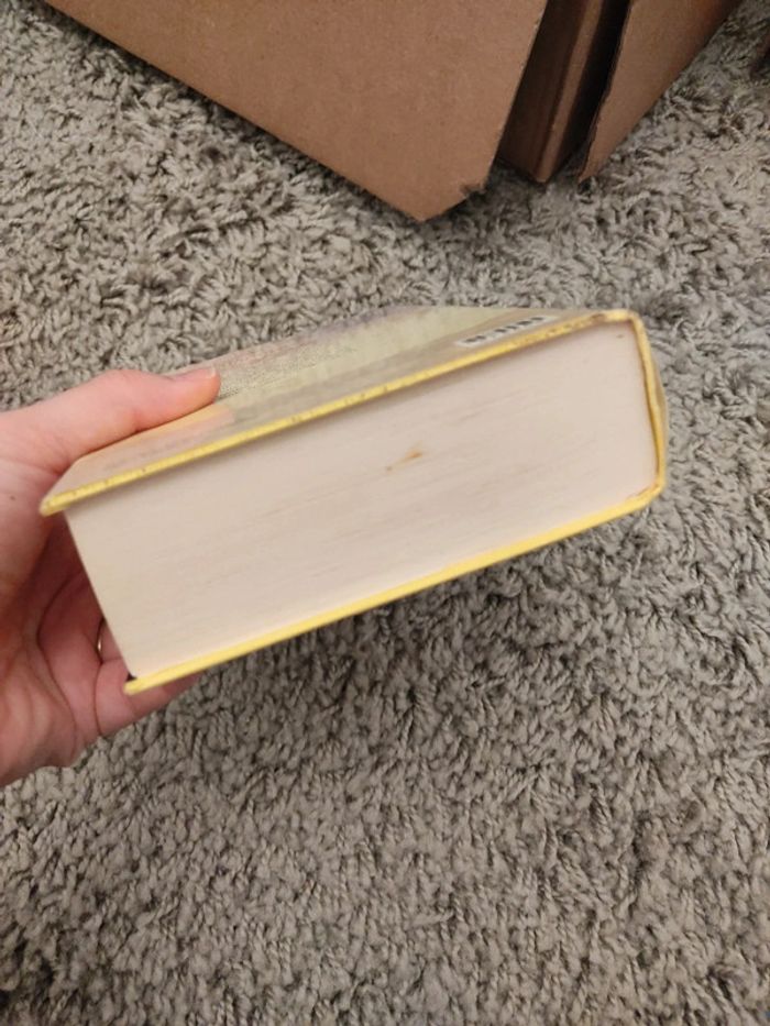 L héritiere de churinga - photo numéro 3