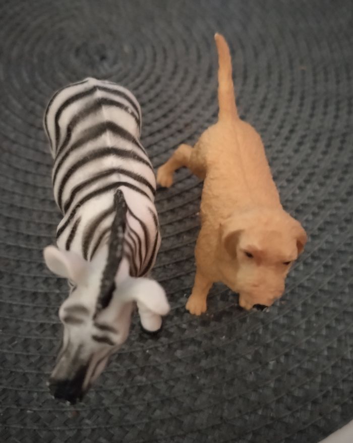 Lot de figurines "Zèbre et chien" incassables Botanic neuf - photo numéro 2