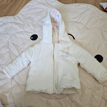 Veste  dinsey