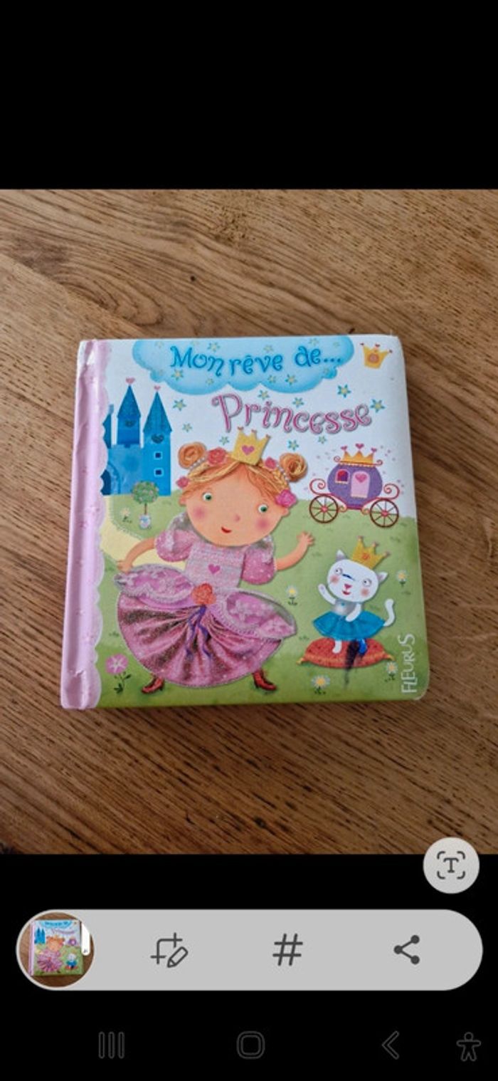 Livre enfant cartonné. mon rêve de princesse - photo numéro 5