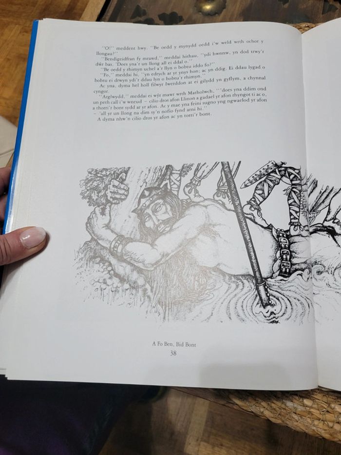 Y Mabinogi - photo numéro 9