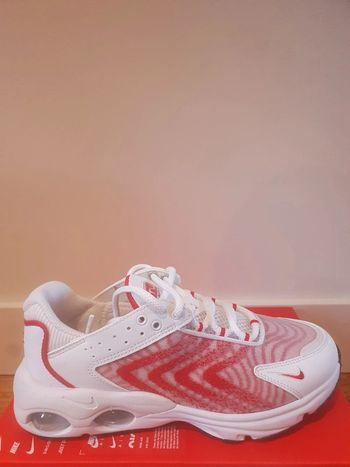 Nike Air Max TW (36)