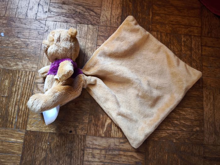 Doudou Winnie l'ourson Disney - photo numéro 2