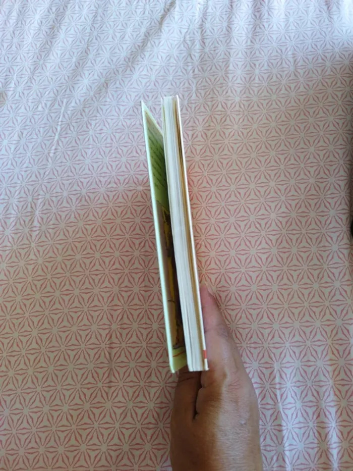 🔴Une fabuleuse femme de ménage - photo numéro 3