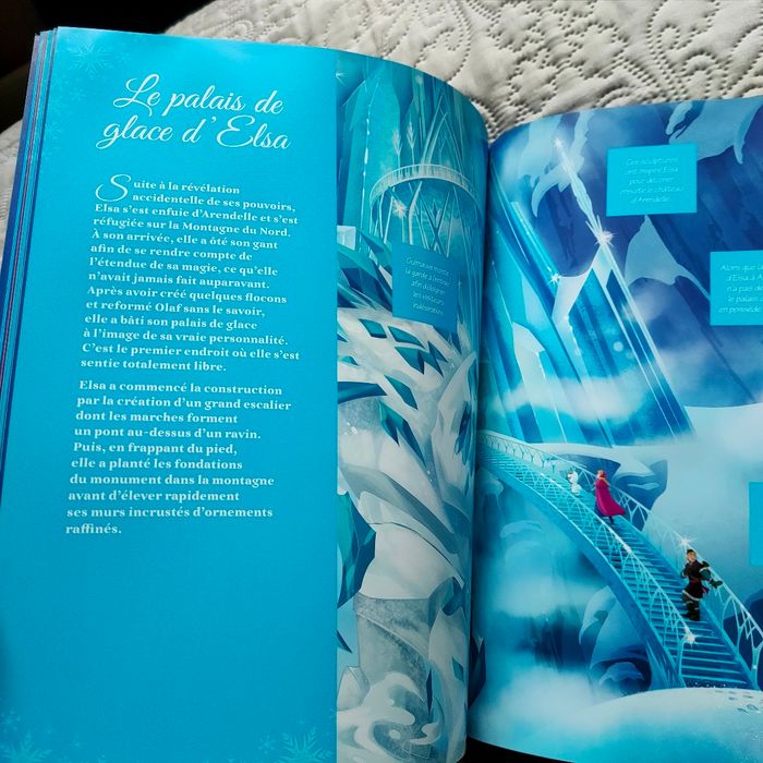 Livre reine des neiges - photo numéro 5
