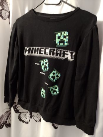 Pull Minecraft 13/14ans