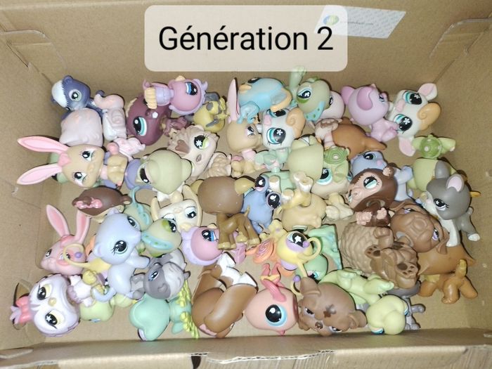 Petshop