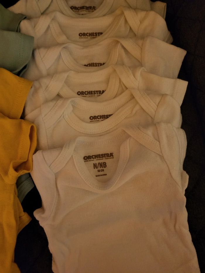 Lot 10 bodies - photo numéro 2