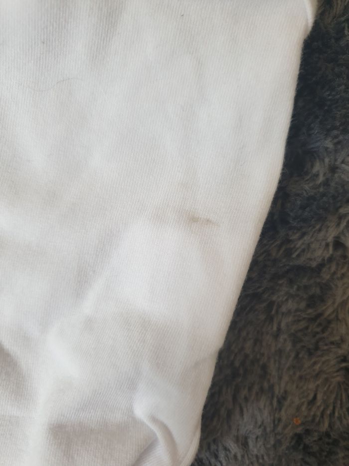 Body orchestra - photo numéro 2