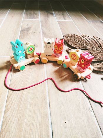 🐻Jouet d'éveil-Le train des animaux en bois avec à blocs/formes - marque Djeco