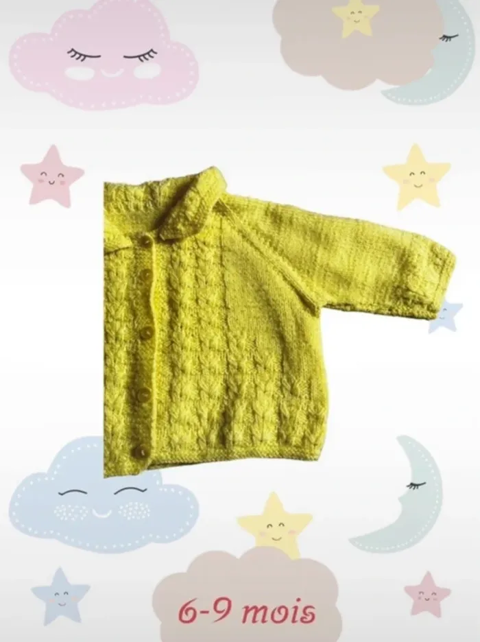 Magnifique boléro 6 mois - photo numéro 3