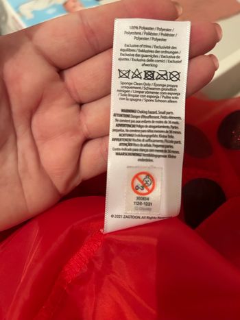 Déguisement miraculous 