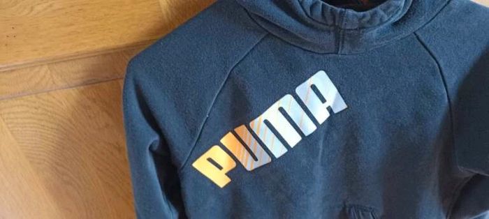 Sweat à capuche puma - photo numéro 2