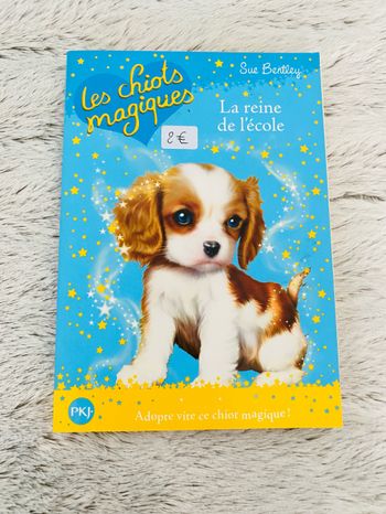 Livre Les chiots magiques La reine de l’école