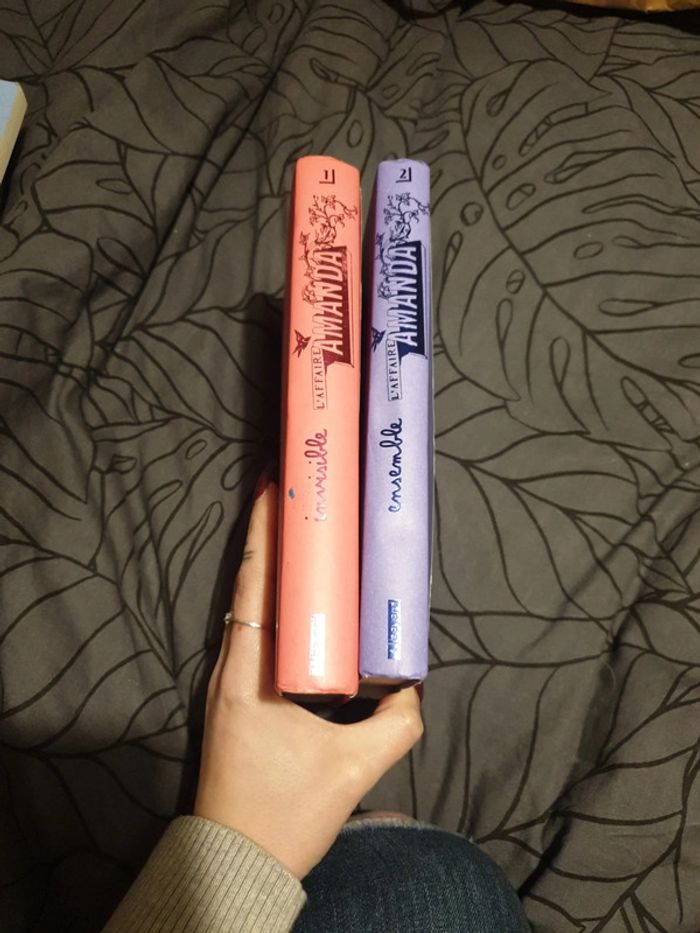 2 livres l'affaire Amanda - photo numéro 3