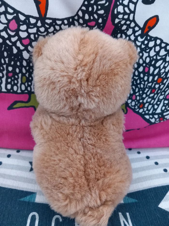 Peluche chat applause pastel vintage little beggar kitten 1984 - photo numéro 4
