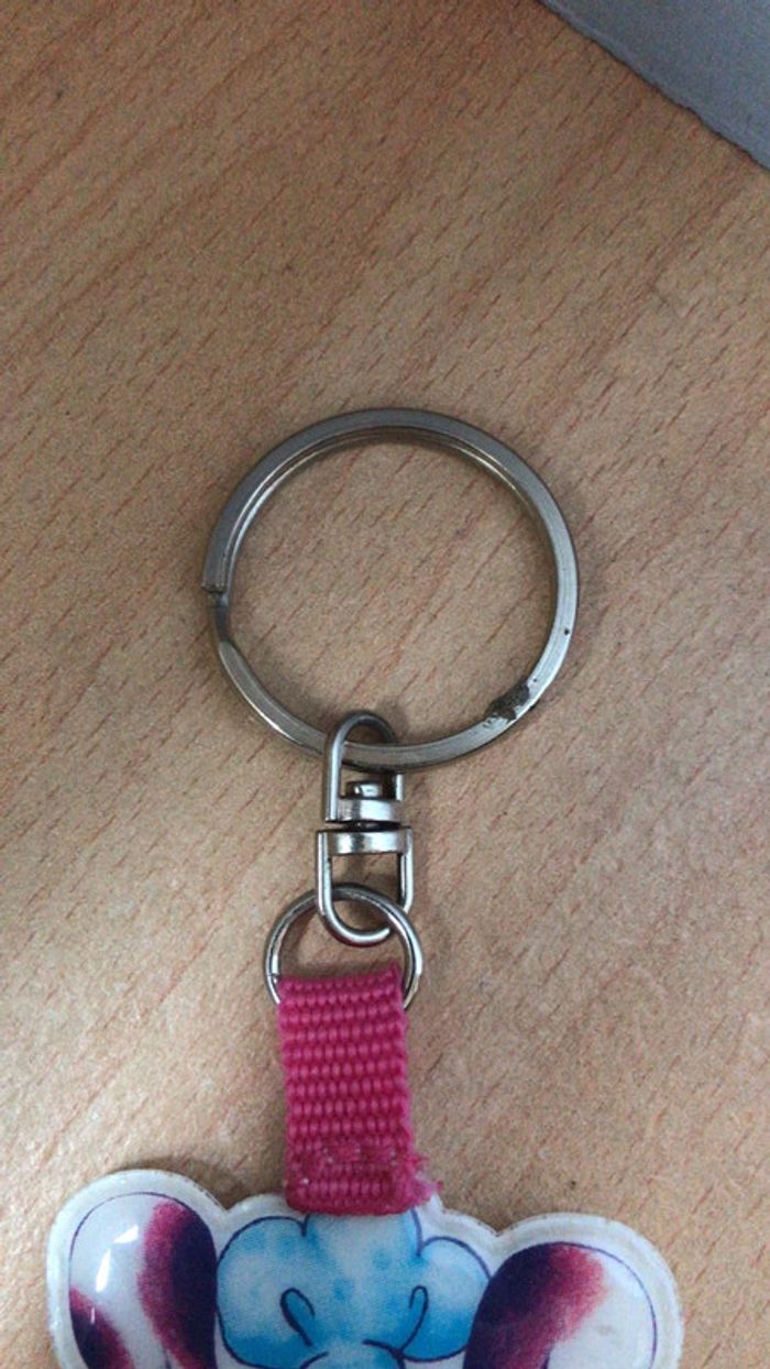 Porte clé didl officiel - photo numéro 2