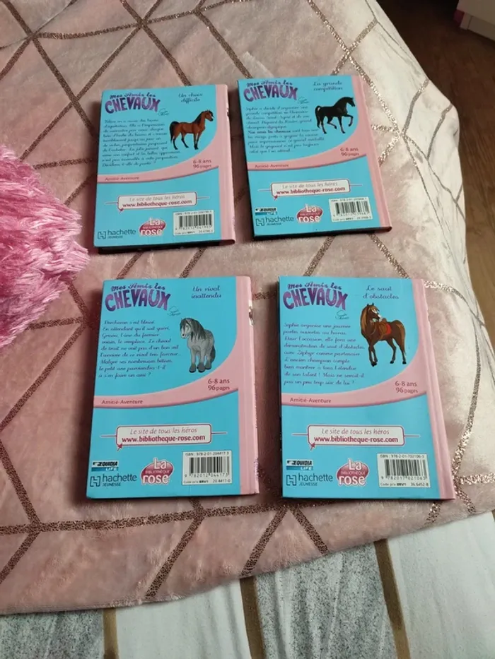 Mes amis les chevaux - photo numéro 2