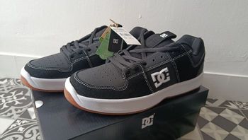 DC Shoes Lynx Zéro