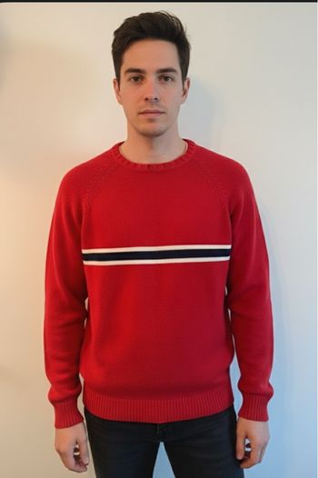 pull sweat homme Tommy Hilfiger T38