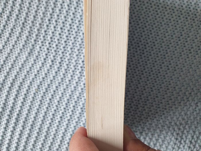 Absolument dé-bor-dée ! - photo numéro 3