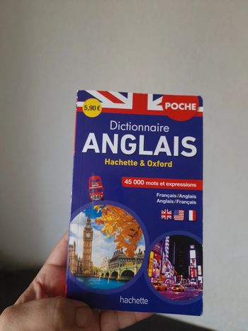 Petit dictionnaire anglais