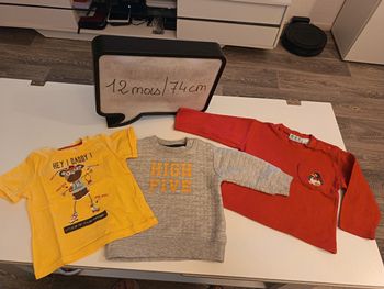 Lot pulls et t-shirt 12 mois garçon 