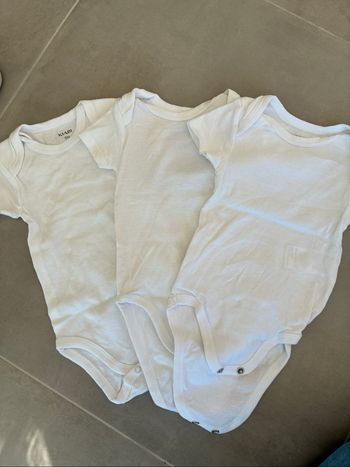 Lot de 3 bodies