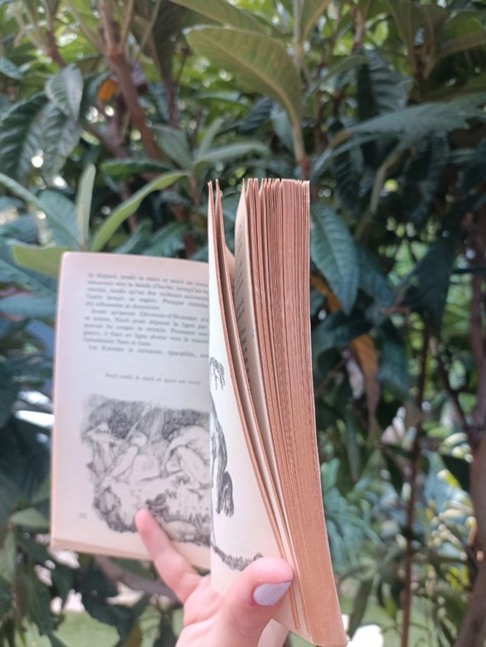 Livre La guerre du feu de J.H. Rosny aîné. - photo numéro 6