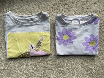 Lot 2 t-shirts Zara 🌻