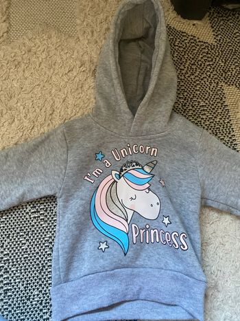 Pull licorne 