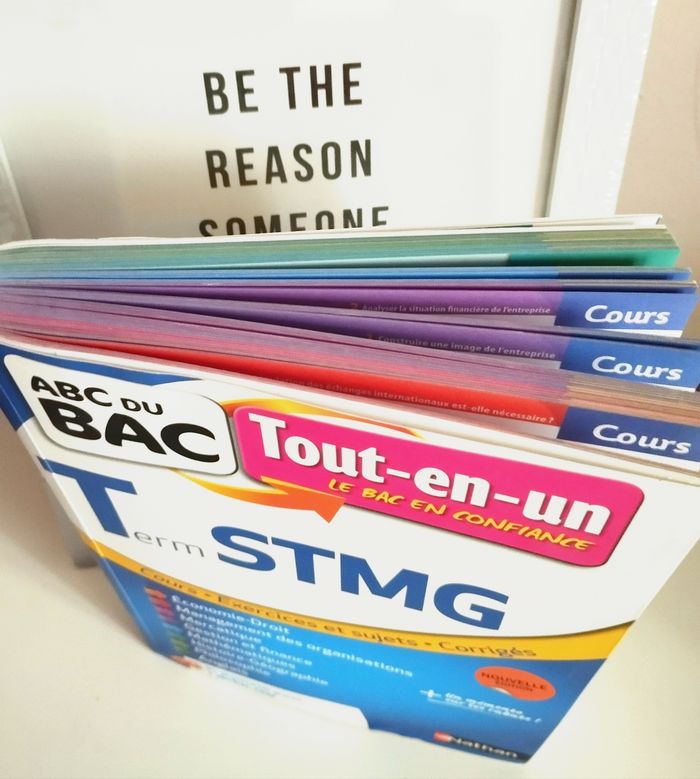 Terminale STMG, tout-en-un : cours, exercices et sujets, corrigés - photo numéro 2