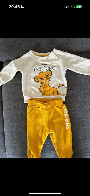 Ensemble roi lion