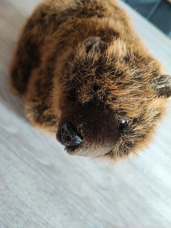 Peluche ours marron 28 cm de long