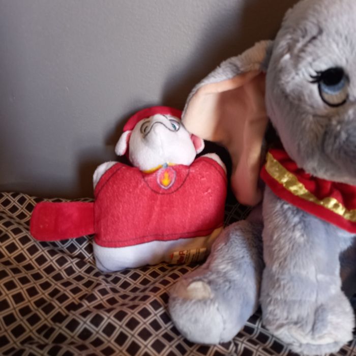 Nounours Diney et Pat Patrouille - photo numéro 4