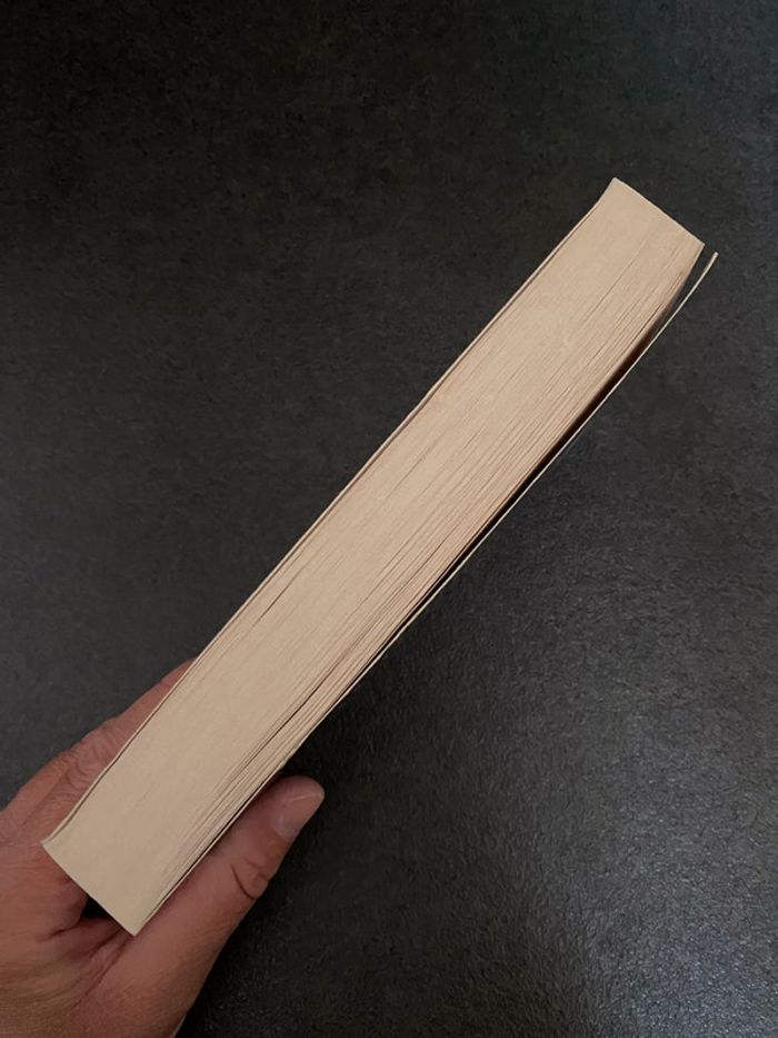 Roman fantastique - photo numéro 3