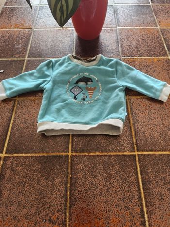 Sweat animaux océan