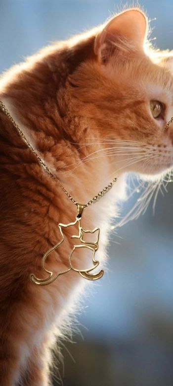 Collier chatmoureux 🐱