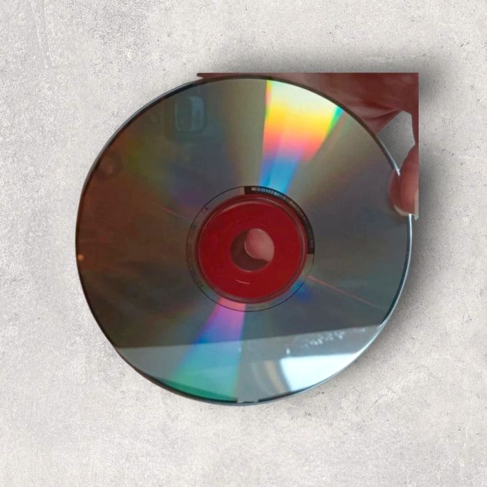 Plonge dans l’univers de la course automobile - photo numéro 3