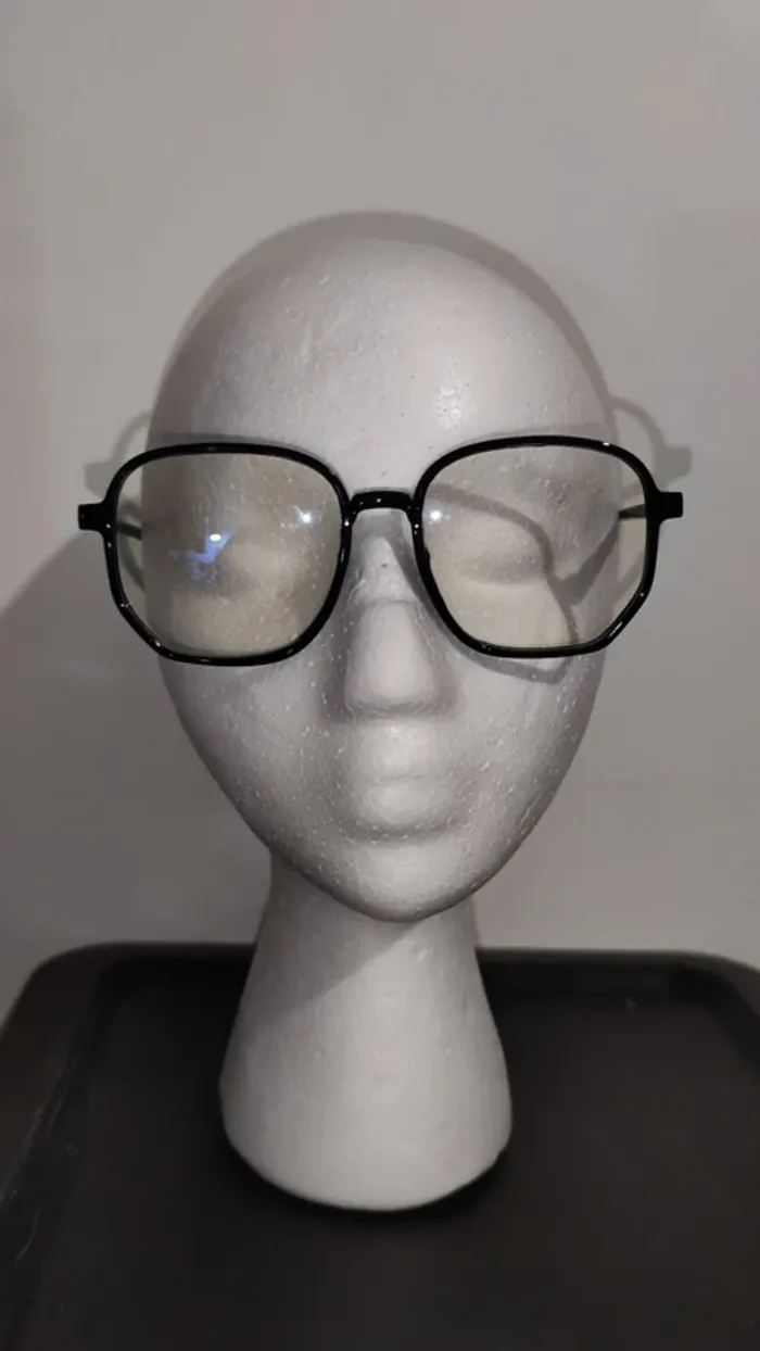 lunettes fantaisies en plastique