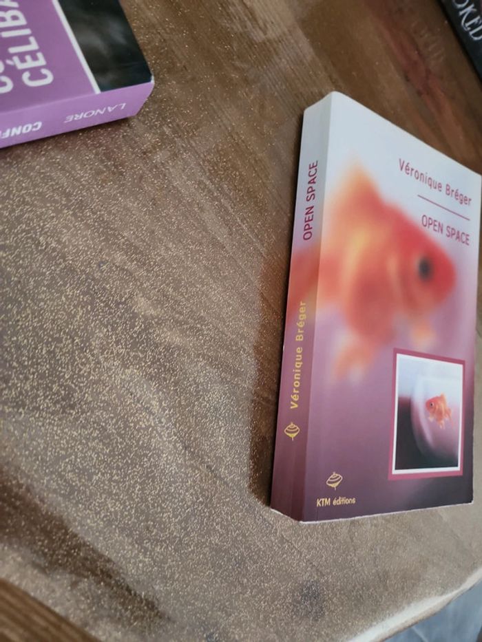 Livre Open space - photo numéro 2