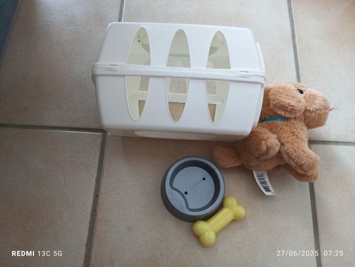 Chien et caisse de transport - photo numéro 2